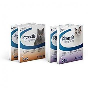 Ceva Strectis Insecticide 121mg/60mg Chat 5 à 10kg 6 pipettes