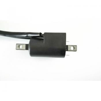 Sea-Doo Ignition Coil for GTI LE, GTS, SP, GSX, GTX, SPX, XP, GTX LTD 72