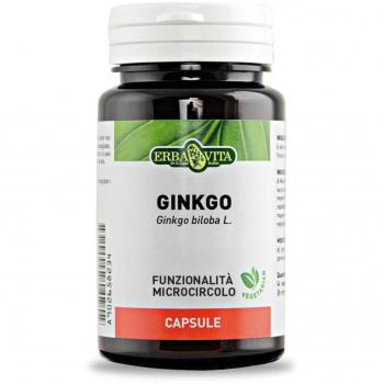 GINKGO 60 CAPSULE