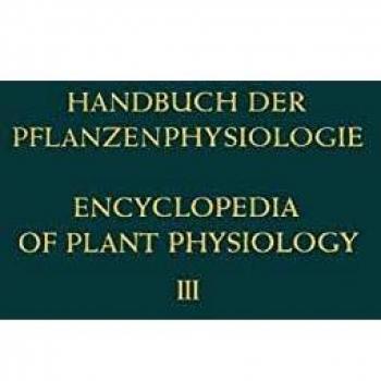 Pflanze und Wasser / Water Relations of Plants (Handbuch der Pflanzenphysiologie Encyclopedia of Plant Physiology (3), Band 3)