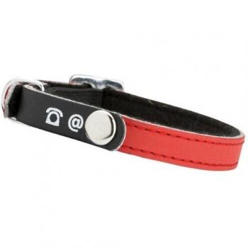 Collier pour Chat avec Porte-Adresse en Cuir Rouge 30 x 1 cm