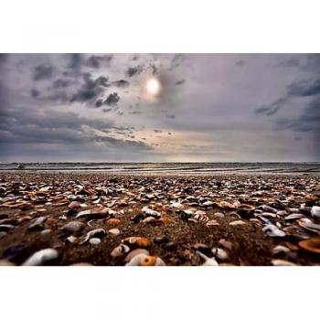 Keilrahmen-Muschelstrand-Lösung
