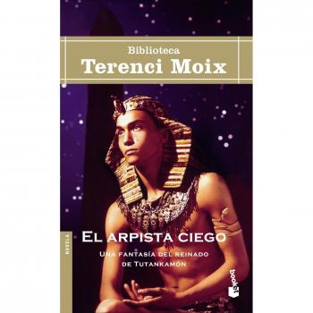 EL ARPISTA CIEGO