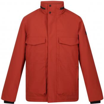 Regatta Men's Esteve Isotex Waterproof Insulated Walking Jacket, Burnt Henna, Size: L