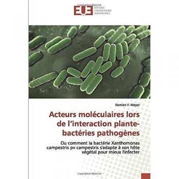 Acteurs moléculaires lors de l’interaction plante-bactéries pathogènes: Ou comment la bactérie Xanthomonas campestris pv campestris s'adapte à son hôte végétal pour mieux l'infecter