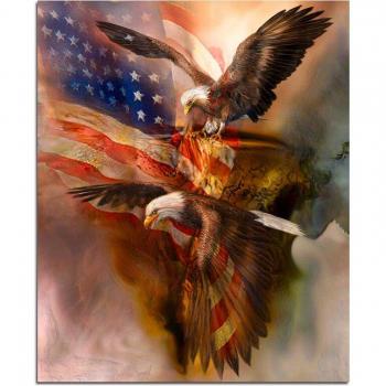 American Eagle Duo 5D Diamond Pattern