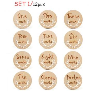 12 Engraved Milestone Cards for Baby Growth and Photo Props