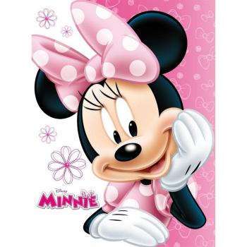 Mon Petit Carnet Miroir Minnie