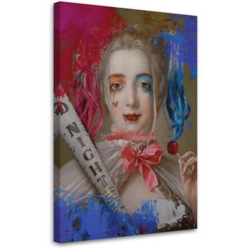 Opuscolo in Panno Harley Queen Sostituto 40x60