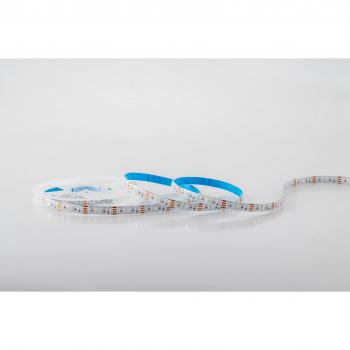 Striscia LED RGB 3W/m in Silicone e Kapton