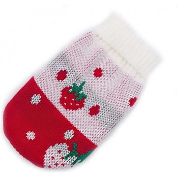 Chiot Fashion Noël