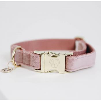 Kentucky Dogwear Velvet Hundehalsband XL Altrosa – Leine