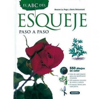 El ABC del esqueje paso a paso
