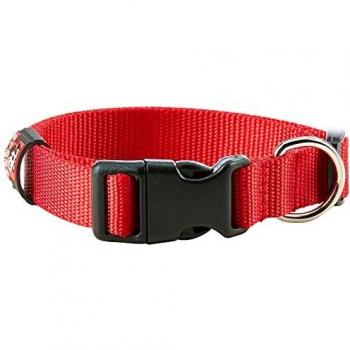 Collar Arppe de Nylon Rojo para Perros de Diferentes Tamaños