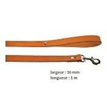 Laisse pour Chien en Cuir Double 1M 16MM