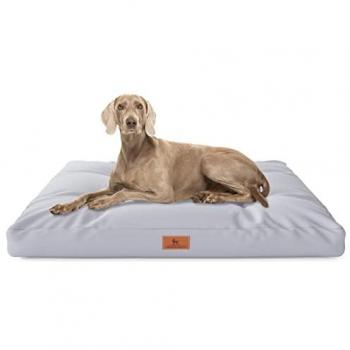 Knuffelwuff Wasserabweisendes Hundekissen Gatsby 75 x 50 cm, grau