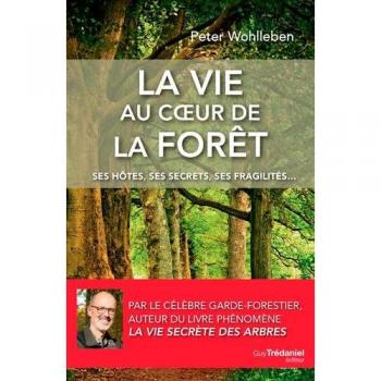 La vie au coeur de la forêt