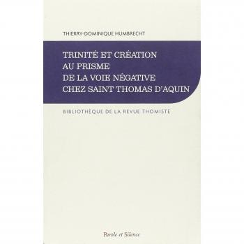 Trinite et creation au prisme de la voie negative
