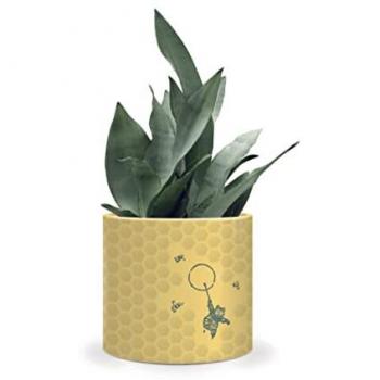 Winnie the Pooh Honeycomb Yellow Plant Pot Holder