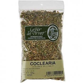 Coclearia Suprema
