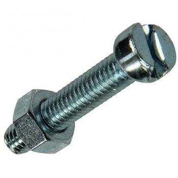 Verzinkte metaalschroef M5 x 50 mm met moer