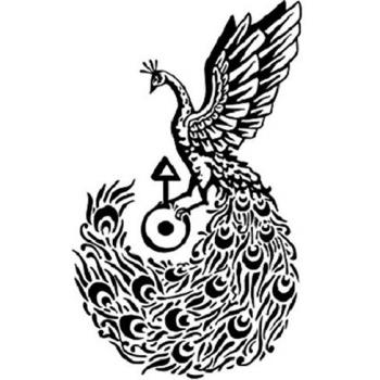 Aves-Vademecum