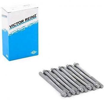 REINZ 14-32102-01 kit de tornillos de cabeza