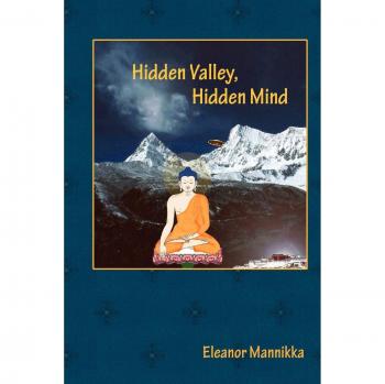 Hidden Valley, Hidden Mind