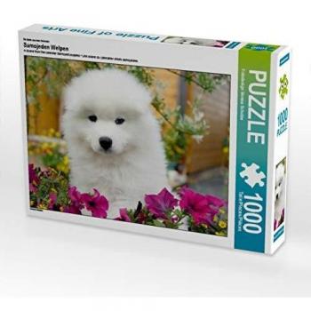 CALVENDO 1000‑Teile Foto‑Puzzle „Samojede Welpen“ – 64 x 48 cm, von Verena Scholze