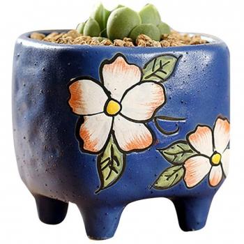 Decoración Natural: Maceta de Cerámica y Suculentas