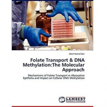 Folate Transport & DNA Methylation:The Molecular Approach
