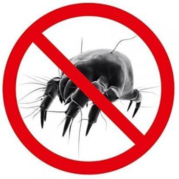 Sogno Allergenic Free Copripiumone 250x200 – Allergosystem