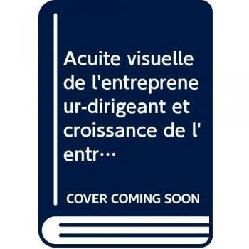 Wadoum Fofou, C: Acuité visuelle de l¿entrepreneur-dirigeant