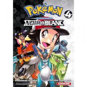 Pokémon Noir & Blanc Double