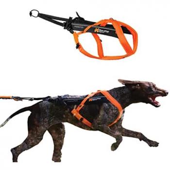 Kit Imbracatura Freemotion 5.0 con Collare e Guinzaglio per Cani
