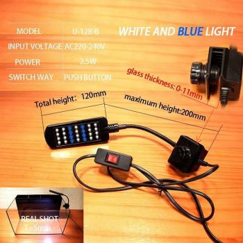 Aquarium Lighting for Aquatic Animals
