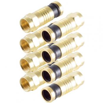 Shiverpeaks BS15-300814 4 Spine F Compressione