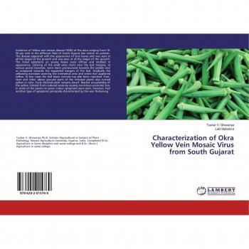Characterization of Okra Yellow Vein Mosaic Virus from South Gujarat