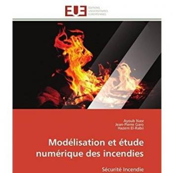 Modélisation et étude numérique des incendies: Sécurité Incendie (Omn.Univ.Europ.)