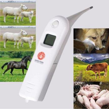 Digital Anus Thermometer for Dogs