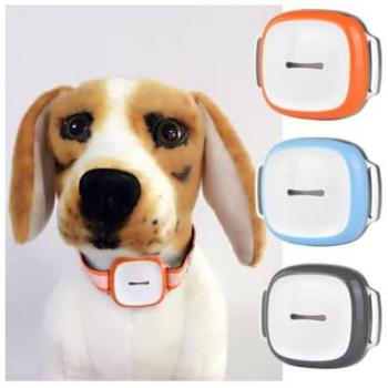 Collare GPS per Cani e Bambini