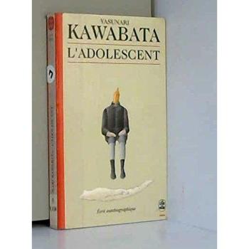 L'adolescent (Biblioromans)
