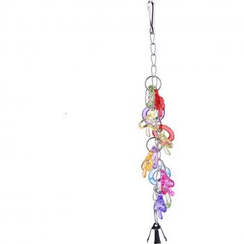 Colorful Heart & Star Parrot Accessories