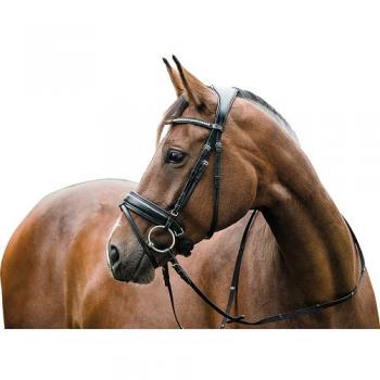 Horse Guard Ergo fullstorlek träns svart (m/tbk)