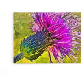 Scotland’s Purple Thistle Wall Canvas – 12x16