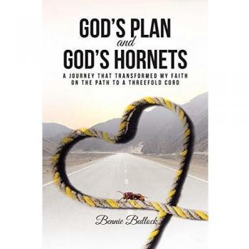 God's Plan and God's Hornets: A Journey That Transformed My Faith on the Path to a Threefold Cord