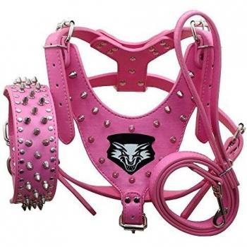 Haoyueer Medium & Large Dog Leather Spiked Studded Harness, Collar & Leash Set for Pit Bull, Mastiff, Boxer, Bull Terrier
