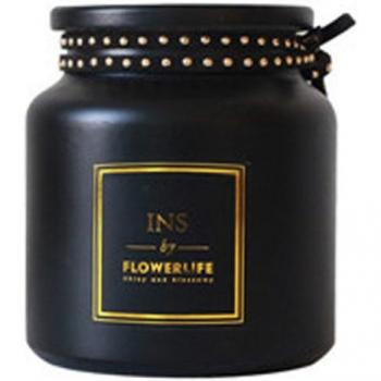 Sleek Black Crystal Flower Holder