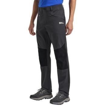 Herren Trekkinghose »HIKING ALPINE PANTS M« von Jack Wolfskin