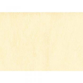 Rasch Vliestapete Uni 702903 Beige 15 m
